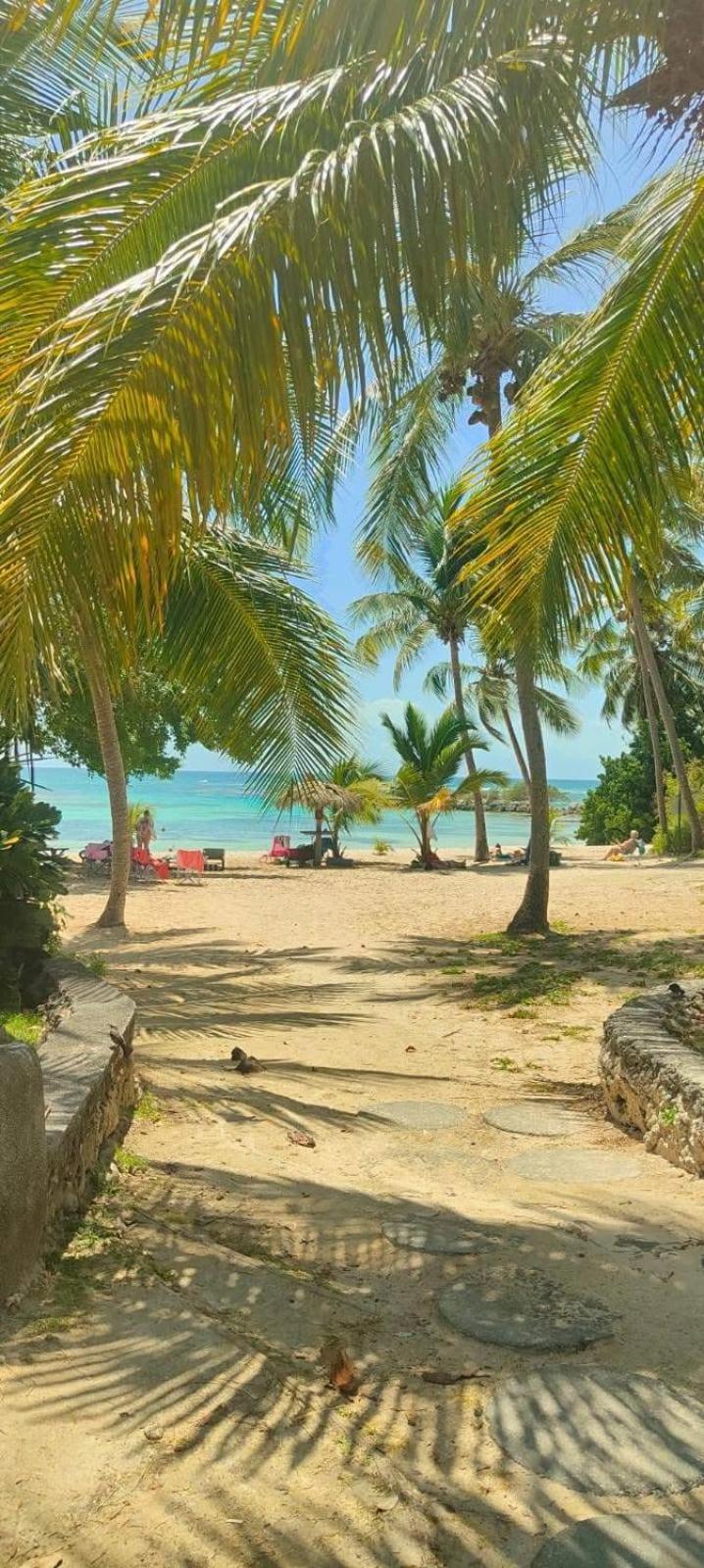 Studio Mojito Vue Mer,Piscine Avec Cuve Eau Et Acces Plage Et Piscine Anse Des Rochers Saint-Francois  Exterior foto